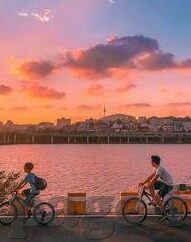 成人免费三级视频-成人内容与网络伦理的边界