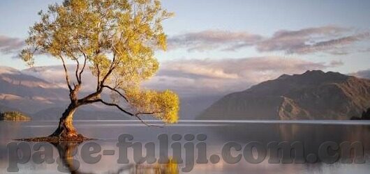 国产影视精品一区二区三区-国产影视精品的多元化探索，一区、二区、三区的精彩纷呈